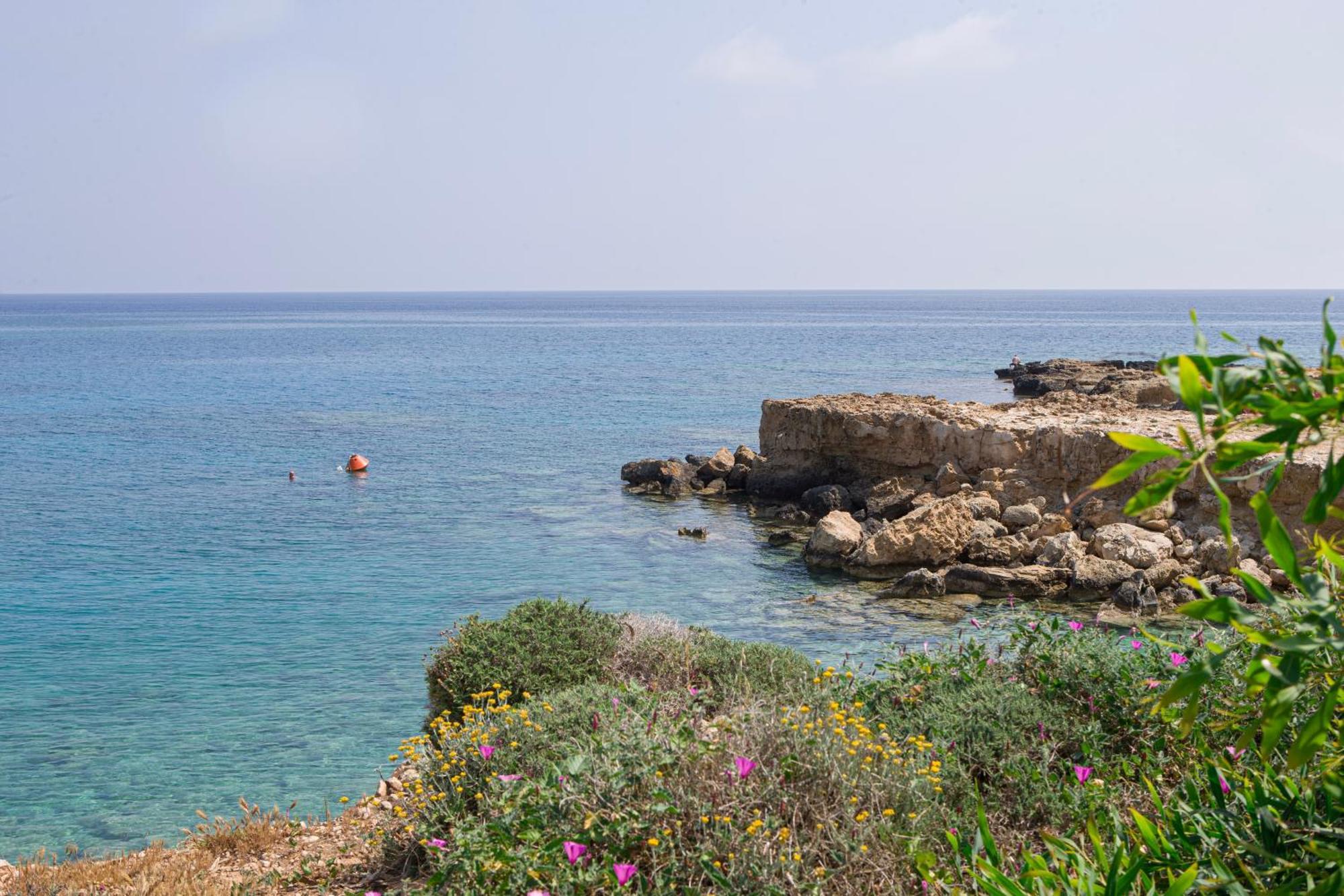 Horizon Villa פרוטאראס מראה חיצוני תמונה